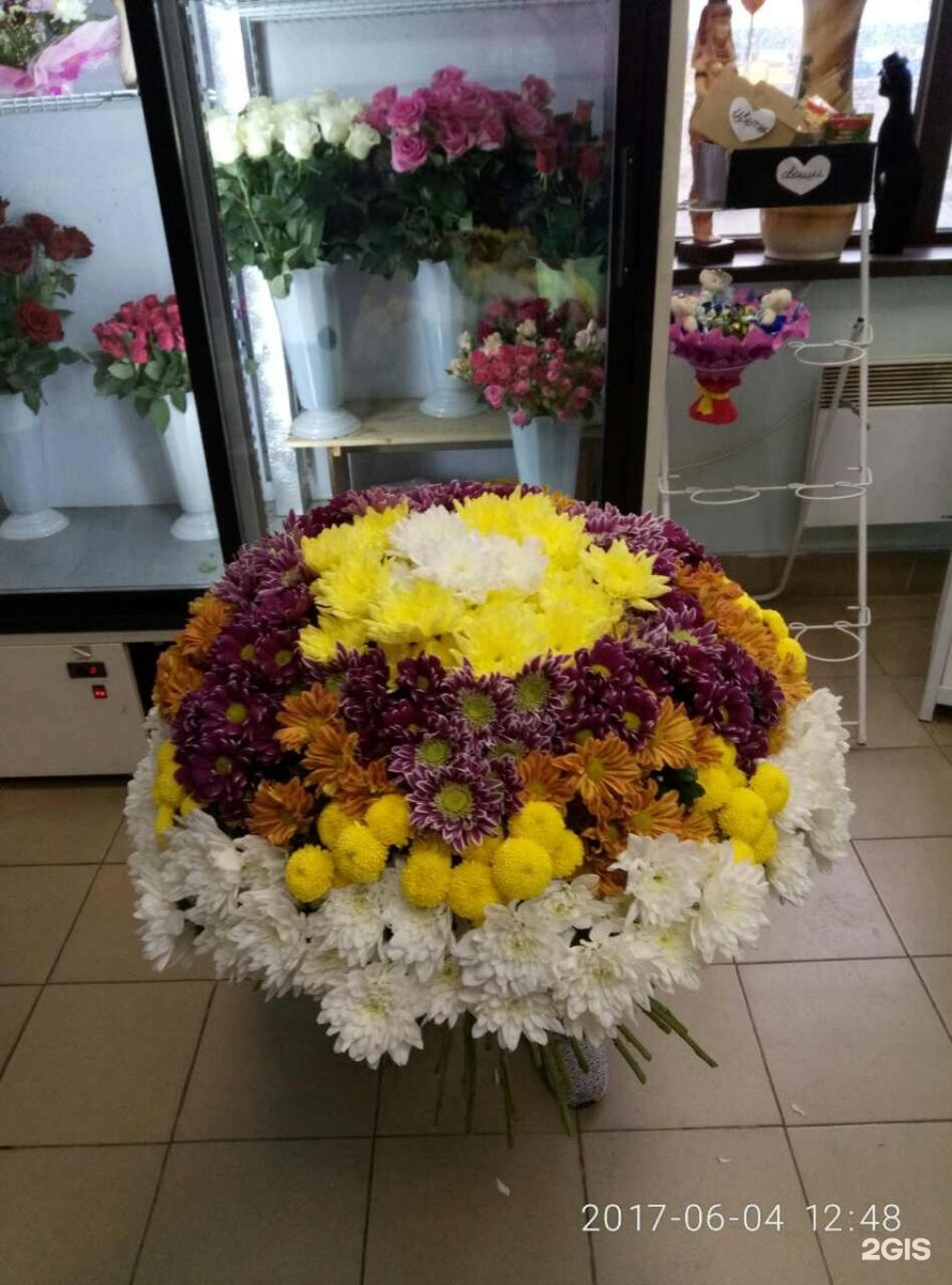 Доставка цветов Иркутск Заказать цветы с доставкой в Иркутске «Орхидея» Салон цветов "Иза Иркутск salon_iza_cvetov) Фото и видео в Instagram
