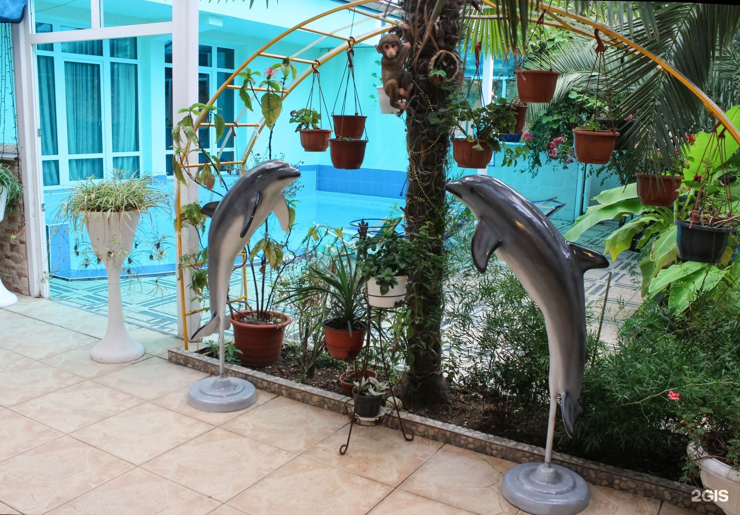 гостиница дельфин адлер фото