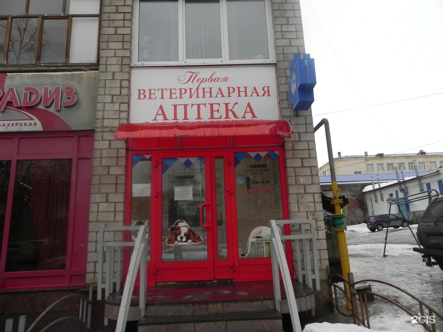 Ветеринарная Аптека В Пушкино