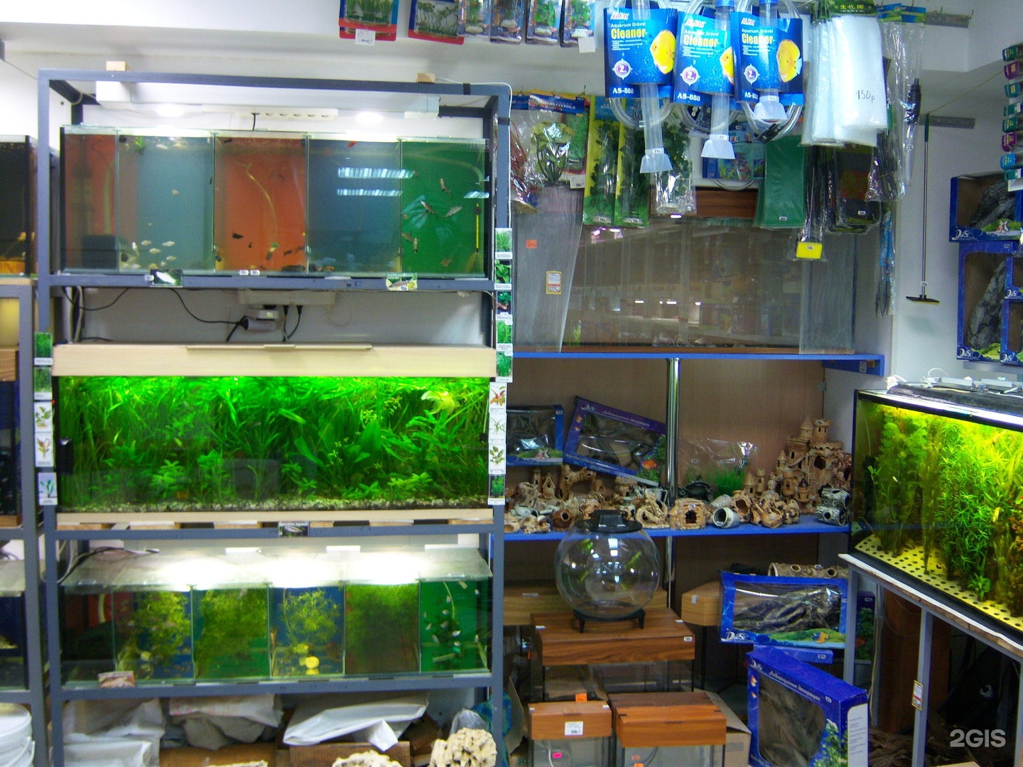 Где Купить Рыбок В Красноярске
