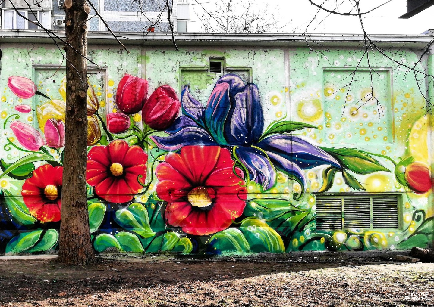 Street Art Краснодар