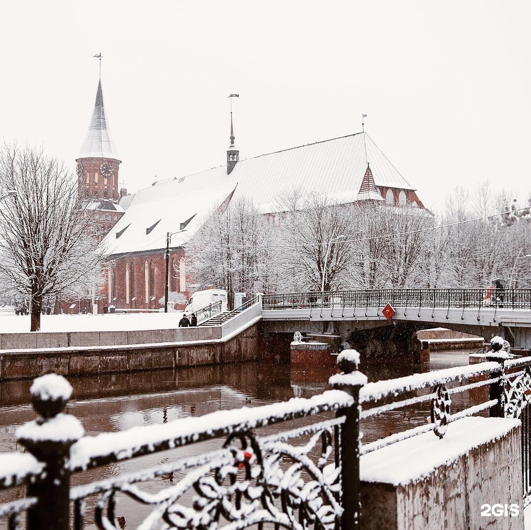 Калининград зимой снег кафедральный собор