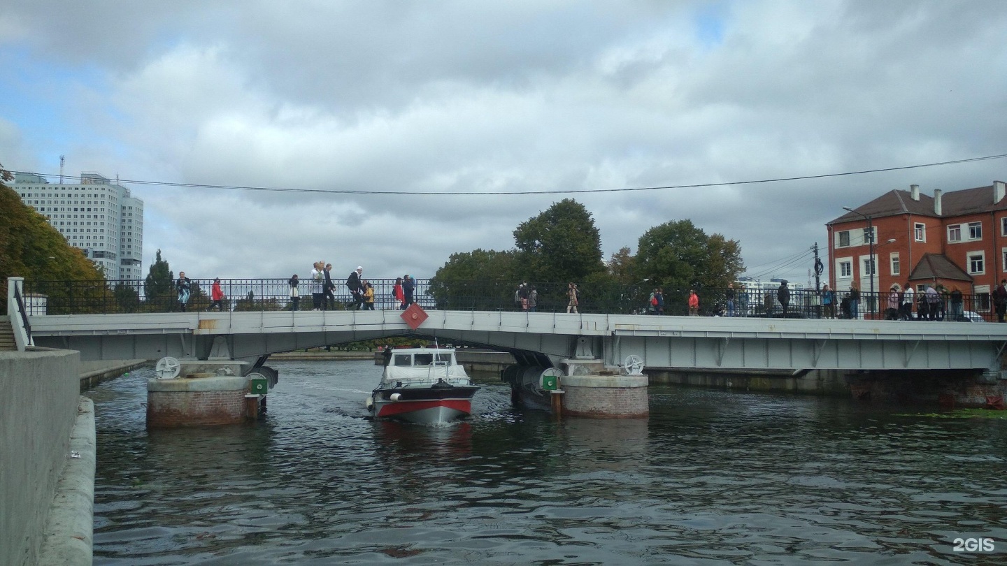 Медовый мост в Калининграде