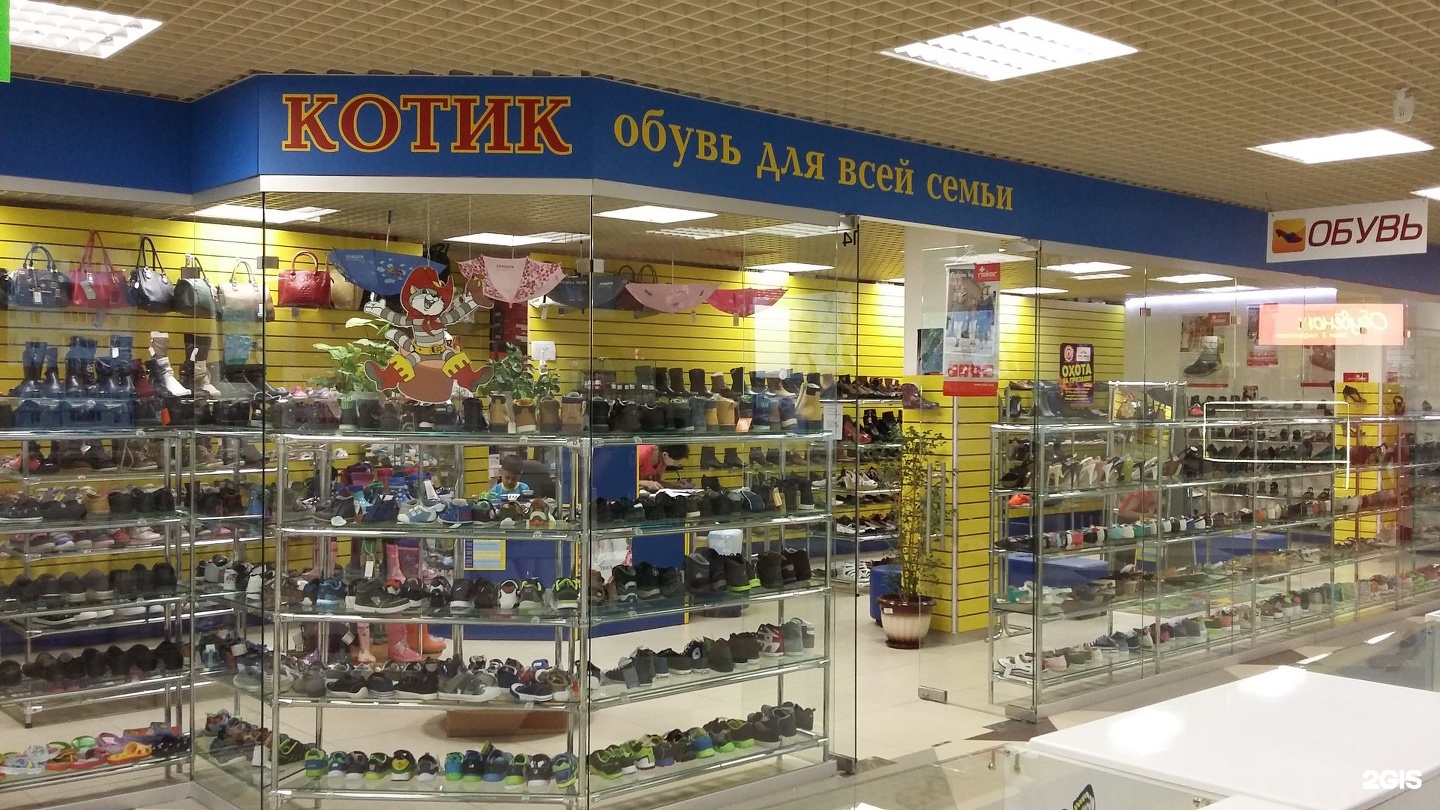 Черный Кот Сеть Магазинов