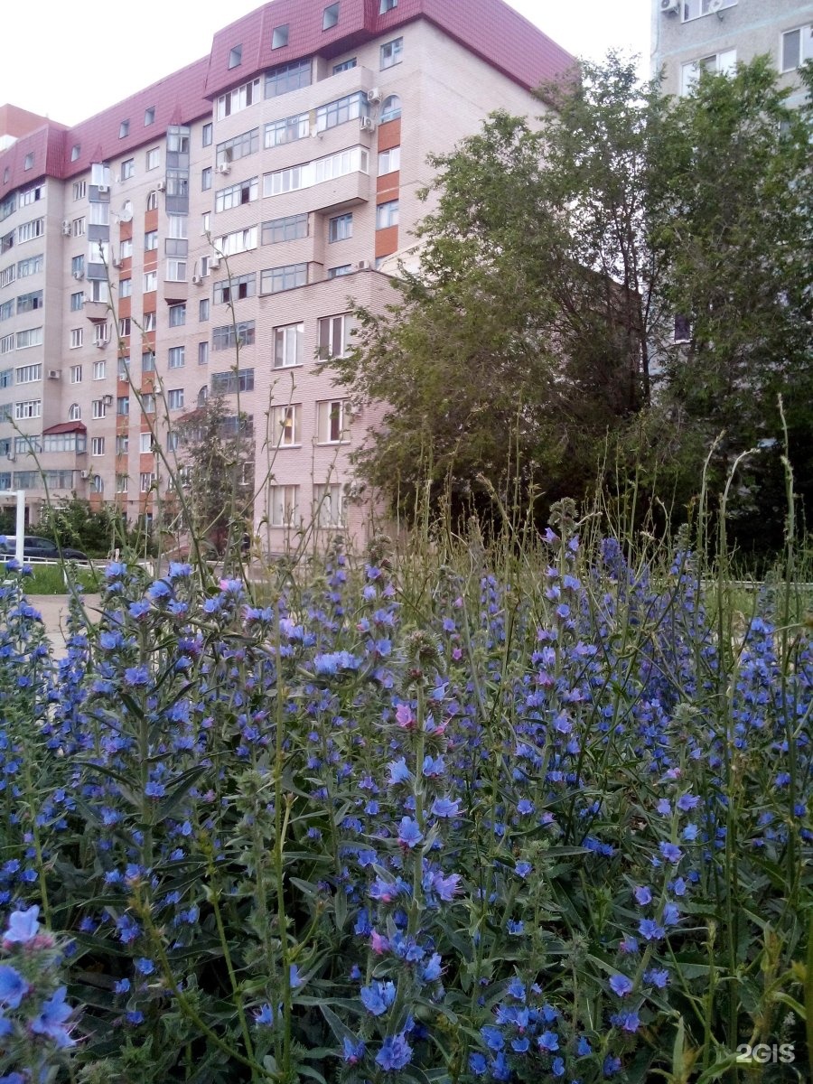 Улица Терешковой, 10/4 в Оренбурге — 2ГИС