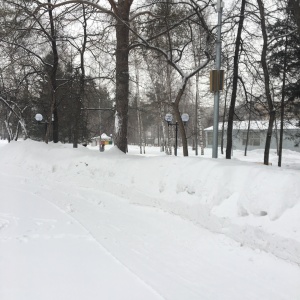 Фото от владельца Центральный парк культуры и отдыха