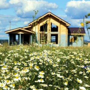 Фото от владельца Boldino Village, компания по продаже земельных участков