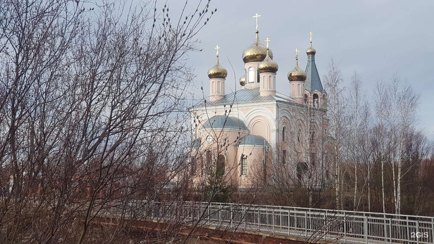 Святые нижнего новгорода