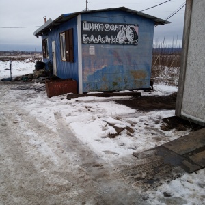 Фото от владельца Шиномонтажная мастерская, ИП Андрианов Д.М.