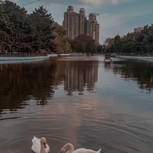 Фото от владельца Победа, дендропарк