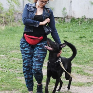 Фото от владельца Созвездие, дрессировочный центр