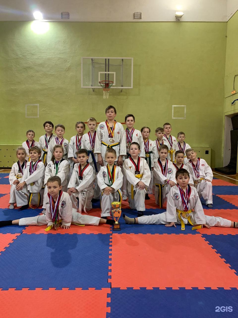 тхэквондо калуга эридан. эридан тхэквондо. тхэквондо калуга эридан. чемпионат европы по тхэквондо. тхэквондо эридан мытищи.