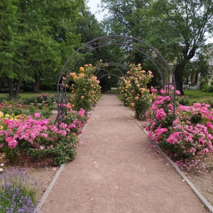 Фото от владельца Ботанический сад, ОНУ