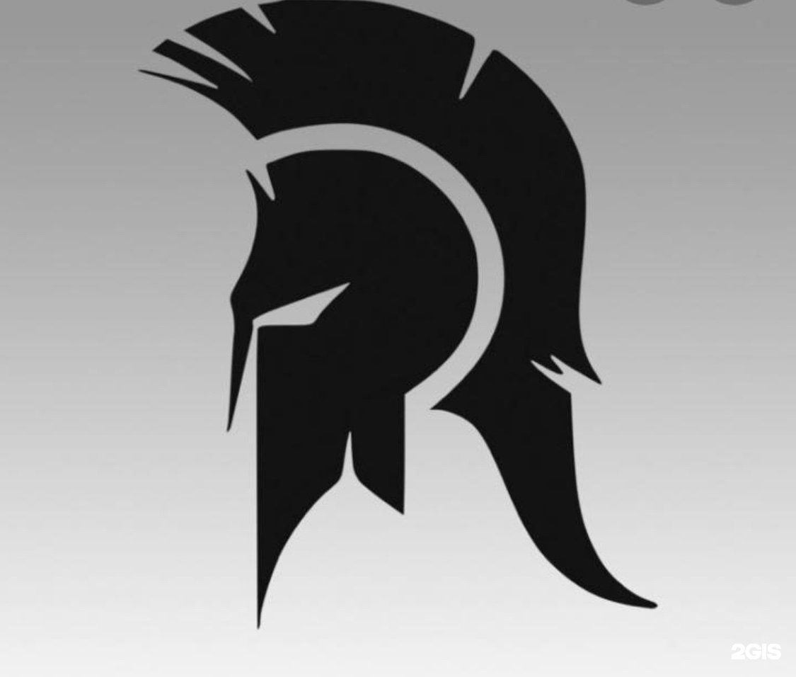 Spartan logo steam фото 14