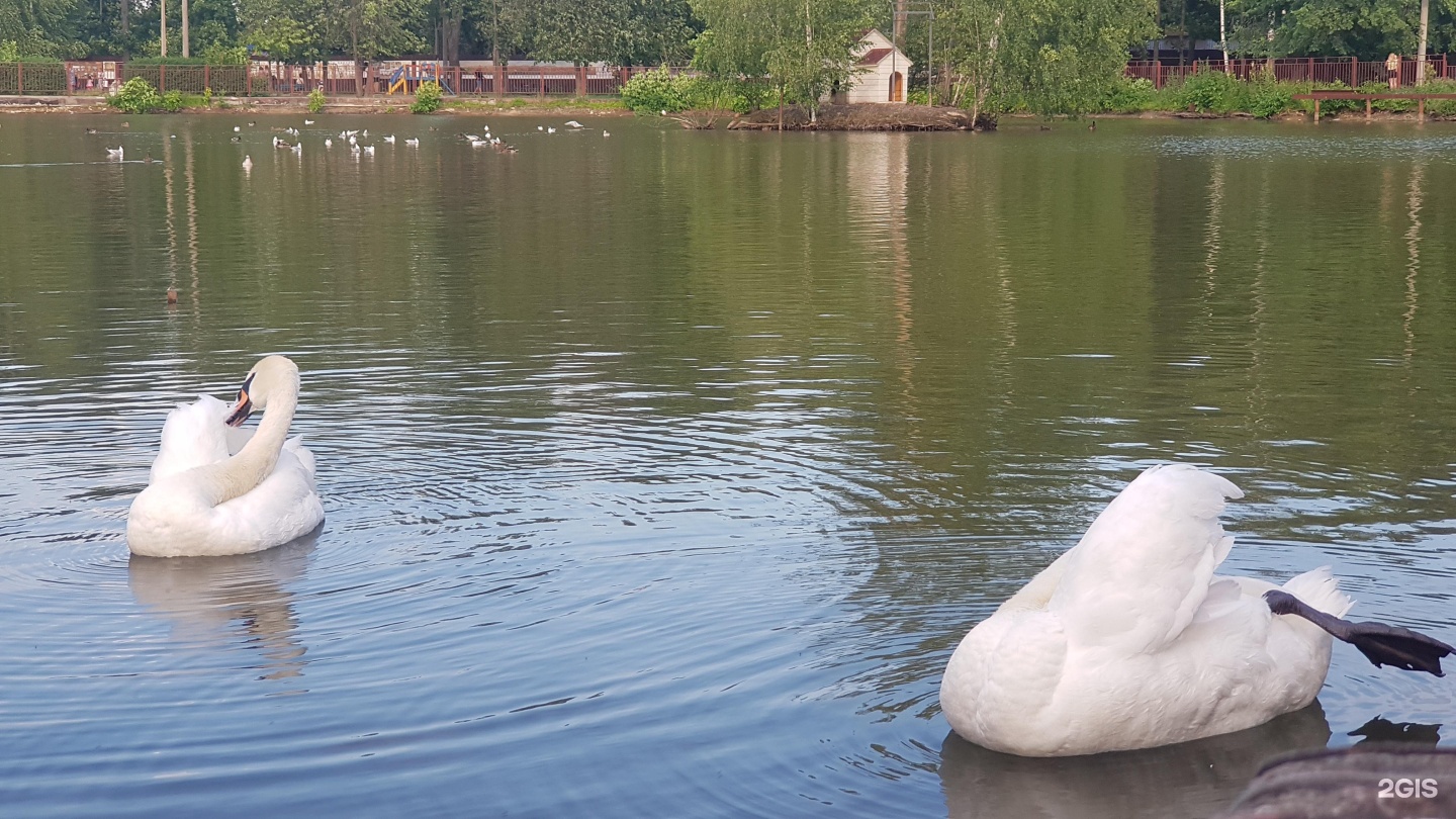 Карибы нижний новгород сормовский парк