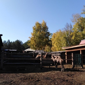 Фото от владельца Этнографический музей народов Забайкалья