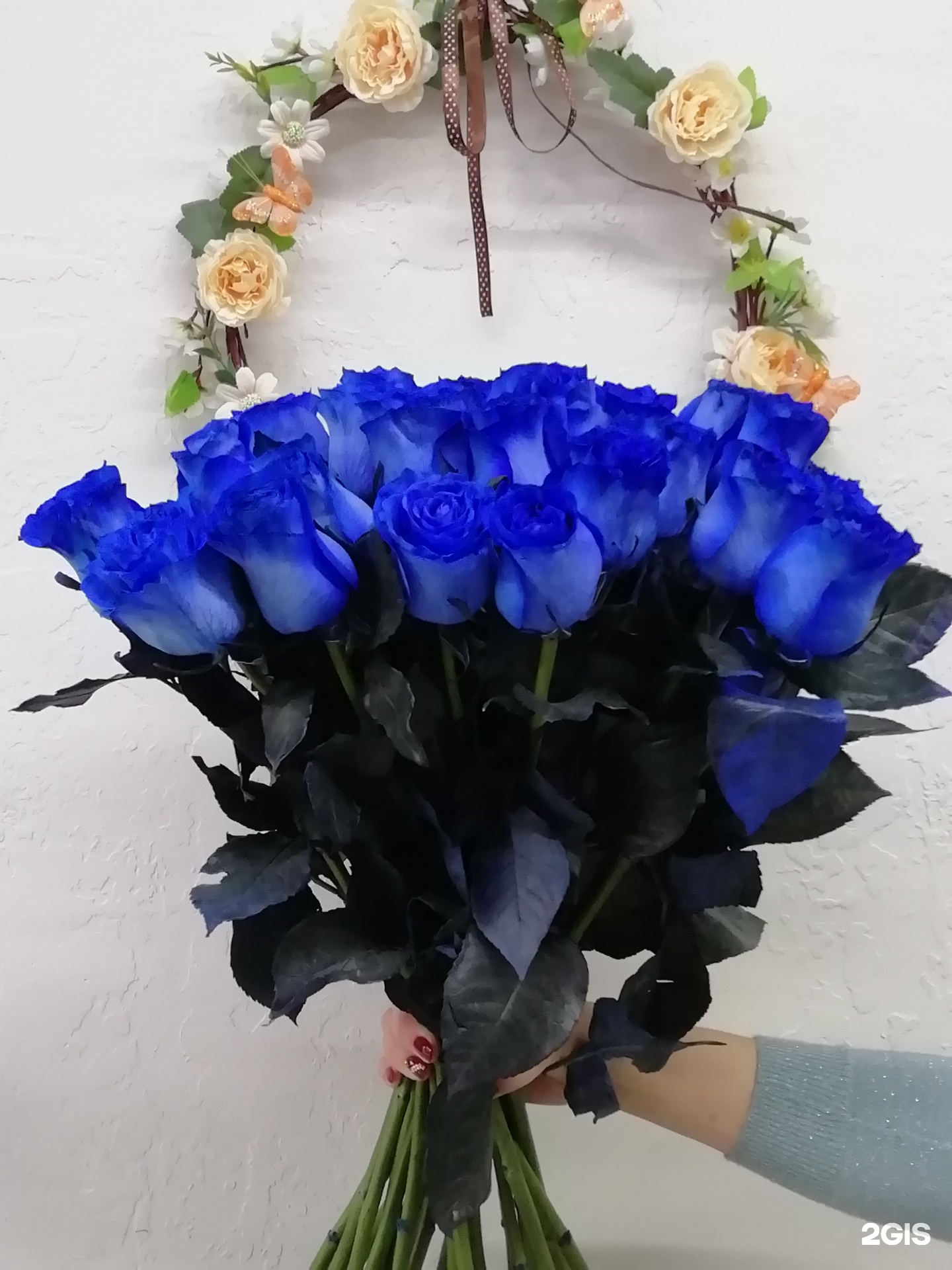 Букеты кемерово. Стрептокарпус соперница. Букеты цветов кемерово. Авито кемерово цветы. Стрептокарпус стрептокарпус паутинка.