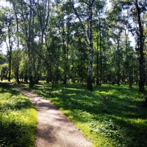 Фото от владельца Берёзовая роща, парк культуры и отдыха