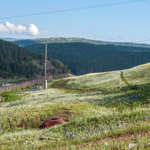 Фото от владельца Тенгри, туристическая компания