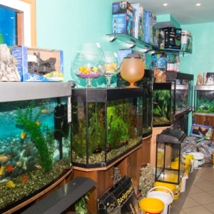 Фото от владельца Аква-Vita, аквариумный салон