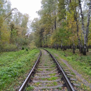 Фото от владельца Сосновый бор, парк культуры и отдыха