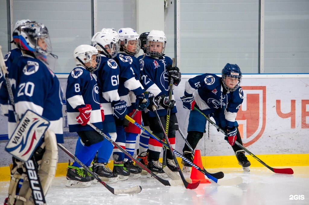 Маршала савицкого 7 южный лед