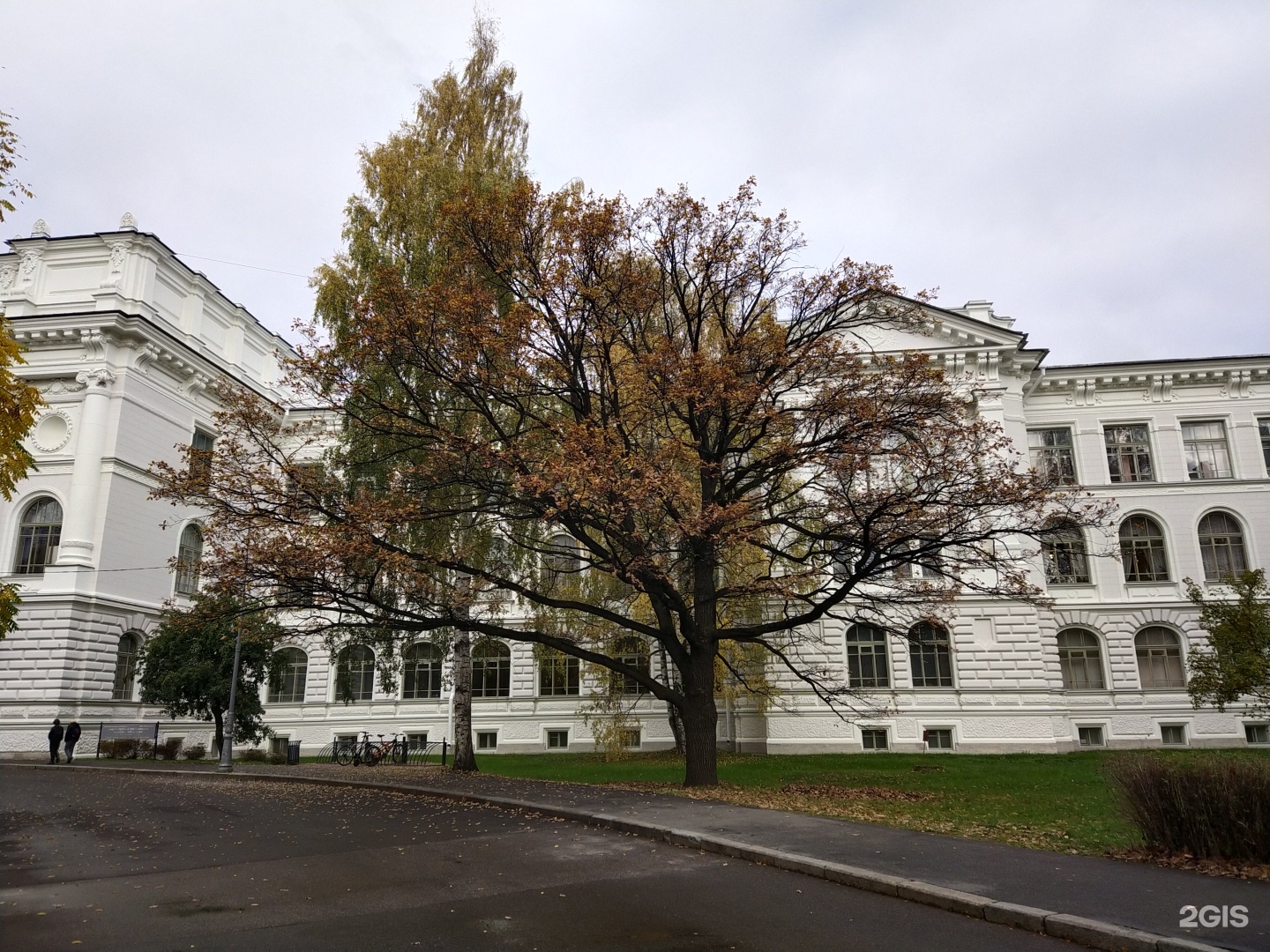 Санкт-Петербург политехнический университет Петра Великого. Peter the great St.Petersburg Polytechnic University (СПБПУ). Политех Политехническая 29. Политех Петра Великого СПБ осень.