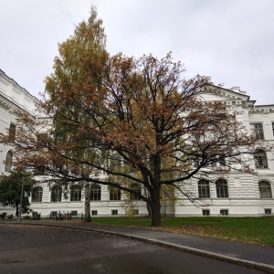 Фото от владельца Санкт-Петербургский политехнический университет Петра Великого