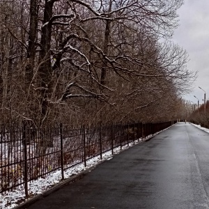 Фото от владельца Ельниковская роща, парк культуры и отдыха