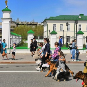 Фото от владельца Лидер, кинологическое объединение