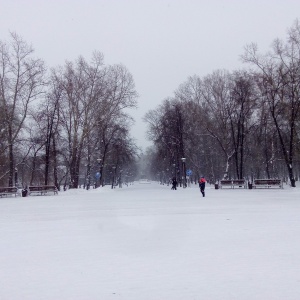 Фото от владельца Новокузнецкий парк культуры и отдыха им. Ю.А. Гагарина