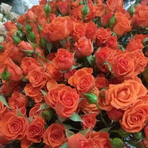 Фото от владельца Цветы, цветочный павильон