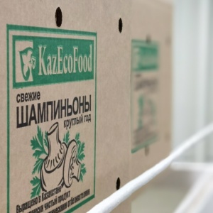 Фото от владельца Kazecofood, ТОО, тепличный комплекс по выращиванию шампиньонов