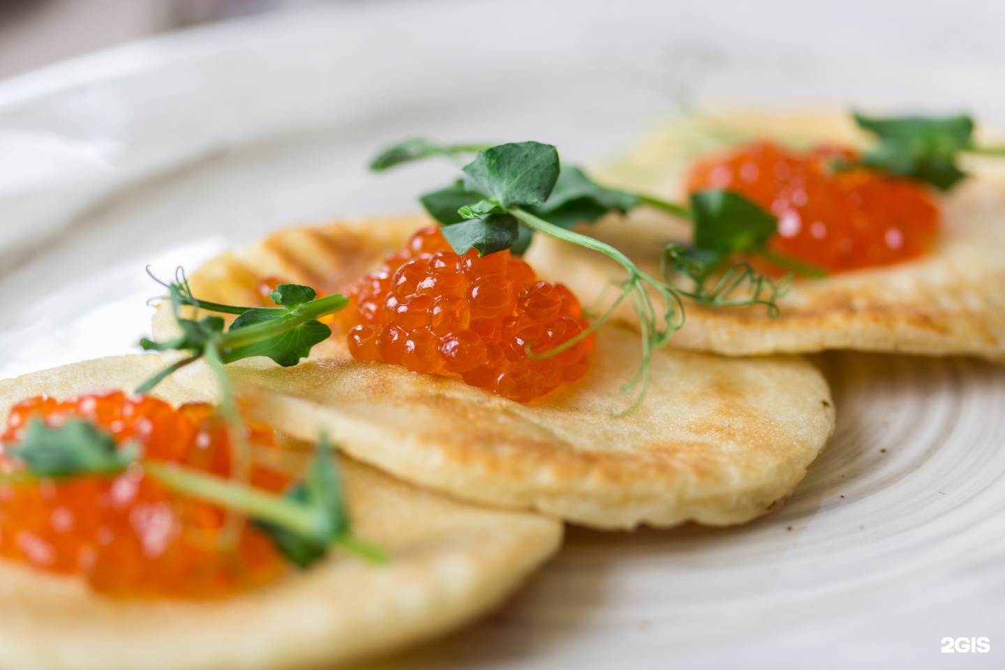 кафе распутин