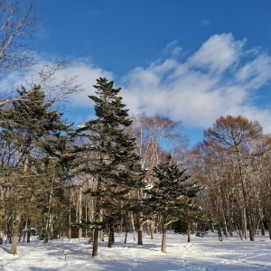 Фото от владельца Городской парк культуры и отдыха им. Ю.А. Гагарина