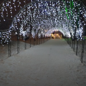 Фото от владельца Городской парк культуры и отдыха им. Ю.А. Гагарина