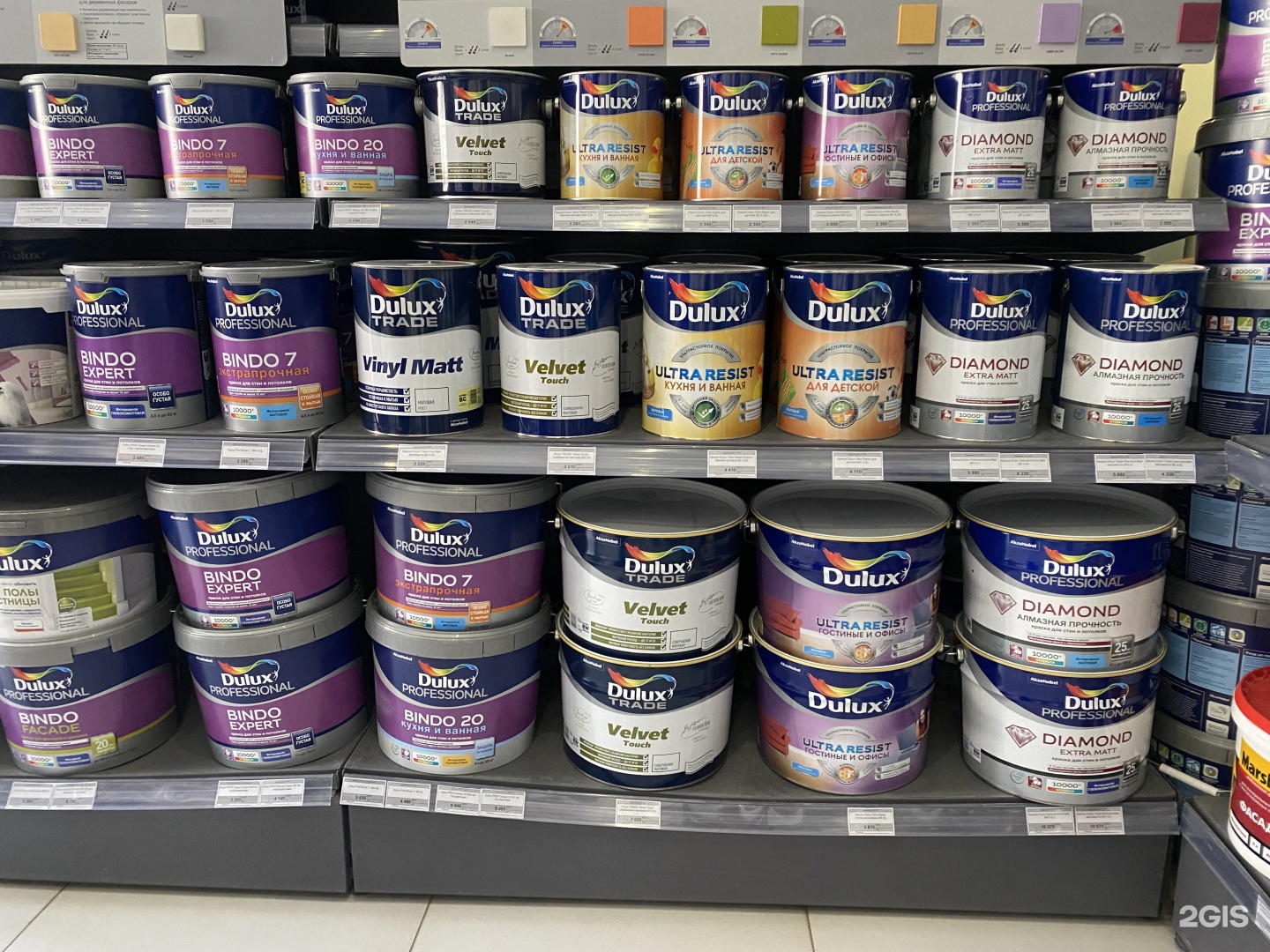 Акварель якутск. Мастерская цвета Dulux. Dulux студия цвета. Краска в Якутске какой самый лучший для стена.