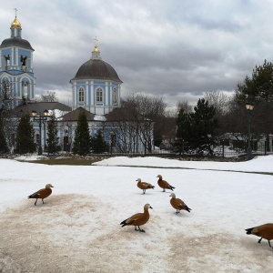 Фото от владельца Храм иконы Божией Матери Живоносный Источник в Царицыно