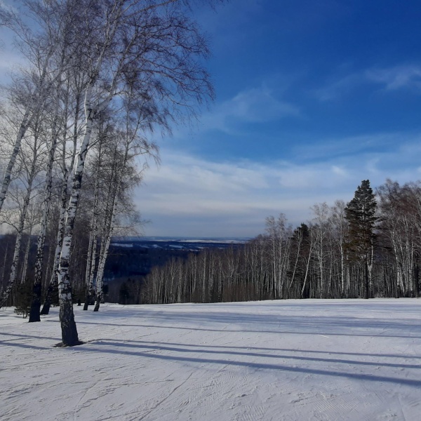 Республика лесная новокузнецк фото