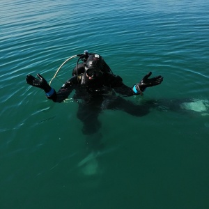 Фото от владельца Black Sea Diving College, дайвинг-центр