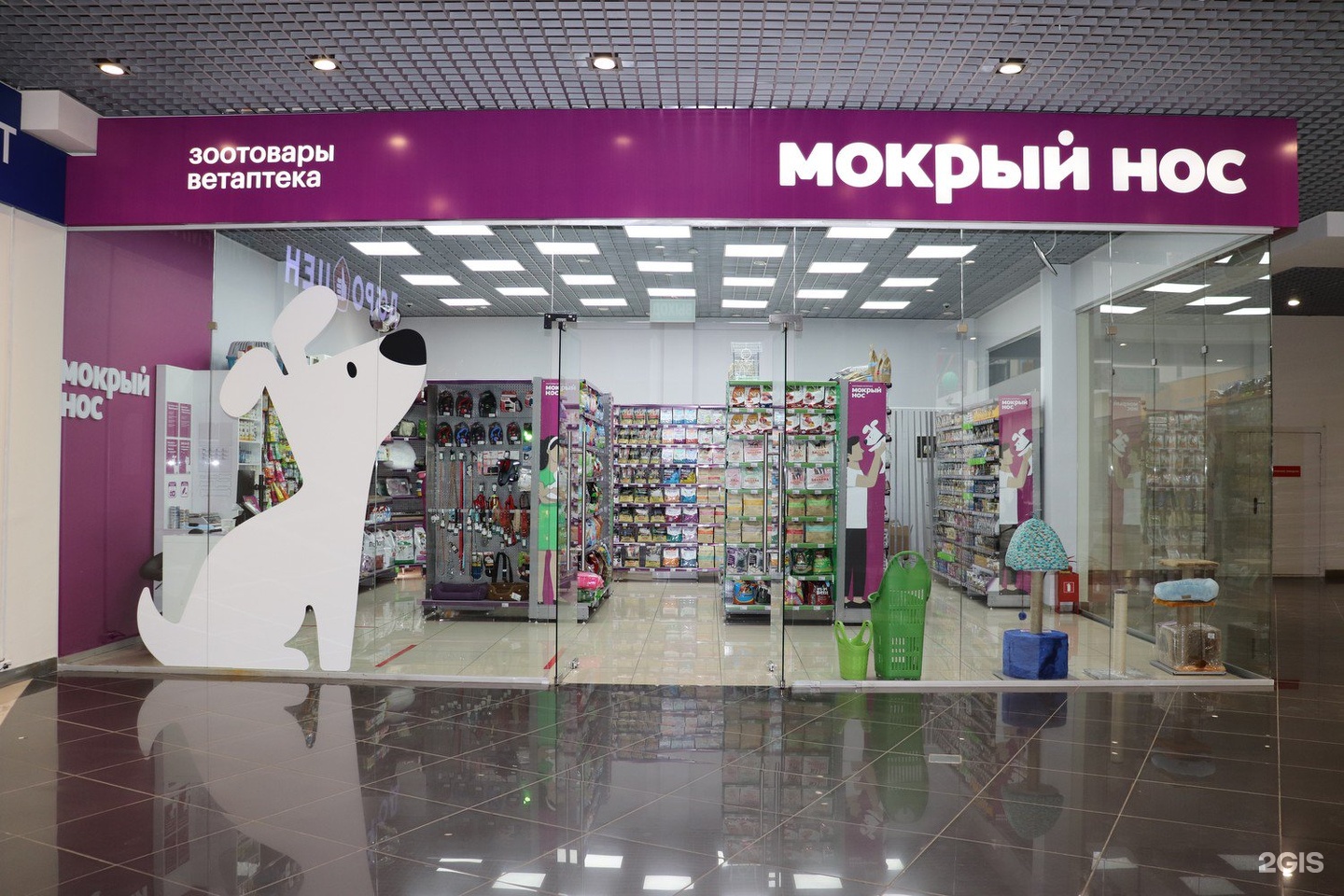 Зоомагазин мокрый. Мокрый нос зоомагазин. Магазин мокрый нос.