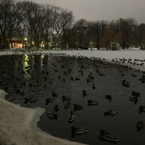 Фото от владельца Городской парк