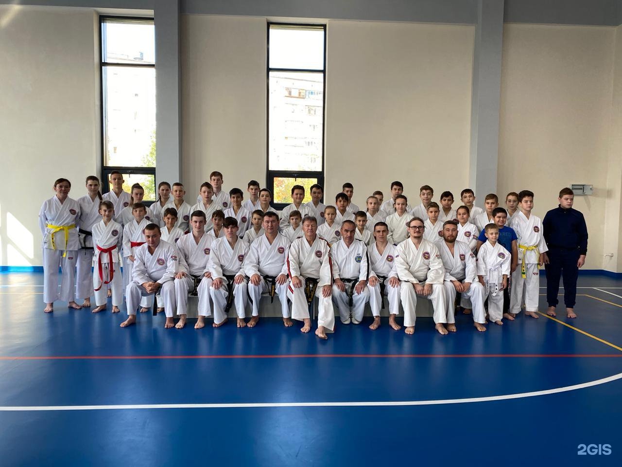 Львы санкт петербурга тхэквондо