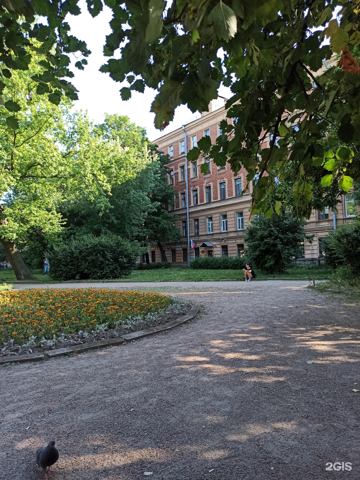 Школа на петроградке. Школа 13 Санкт-Петербург. Школа 25 Петроградского района. Загородный 13 СПБ. Загородный 13.