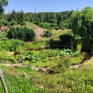 Фото от владельца Ставропольский ботанический сад им. В.В. Скрипчинского