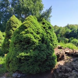 Фото от владельца Ставропольский ботанический сад им. В.В. Скрипчинского