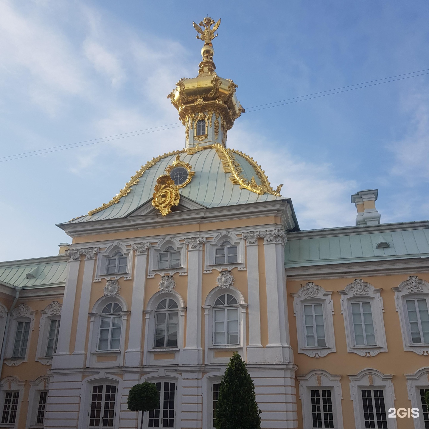 Большой петергофский дворец разводная ул 2 фото. Петергоф музей. Малый музей в Петергофе. Музей-заповедник Петергоф символ. Военный музей в Петергофе.