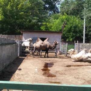 Фото от владельца Одесский зоопарк