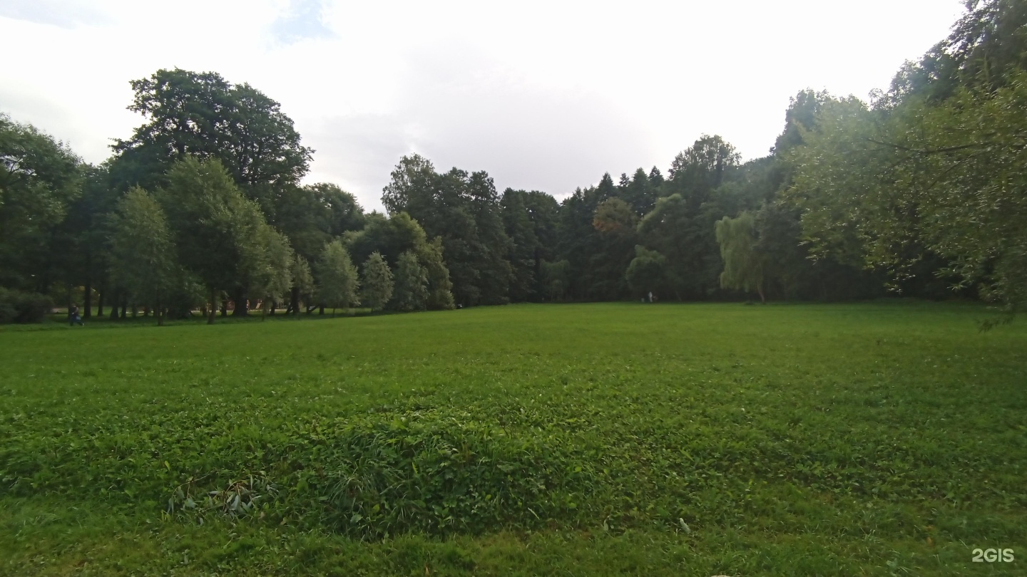 Green park санкт петербург. Удельный парк в Санкт-Петербурге. Удельный парк, Санкт-Петербург, Фермское шоссе. Удельный парк СПБ груша. Удельный парк в Санкт-Петербурге фото.