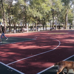 Фото от владельца Хабаровский краевой парк им. Н.Н. Муравьева-Амурского